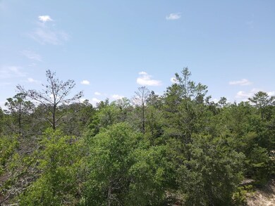 0 Central Rd unit 381525, Midway, FL 32344 - photo 6