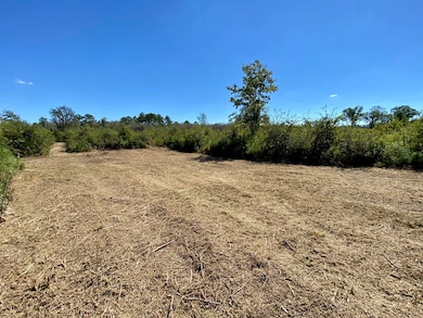 0 Cal Thomas Rd, Whigham, GA 39897 - photo 6