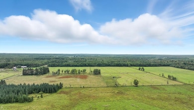 000 10 Crossing Rd, Ogema, WI 54459 - photo 2