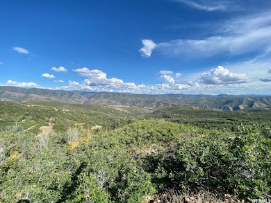 111 Upper Whittemore Dr unit 111, Springville, UT 84663 - photo 5