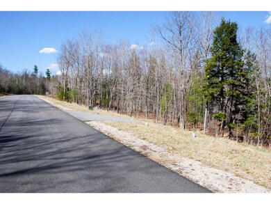 66 Grandview Rd, Conway, NH 03860 - photo 2