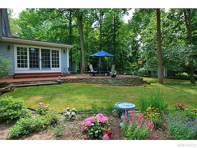 Backyard.