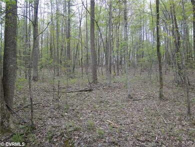 Exterior Front - all wooded