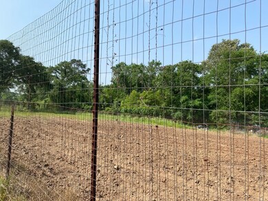 27897 Kresdorn Rd, Hockley, TX 77447 - photo 7