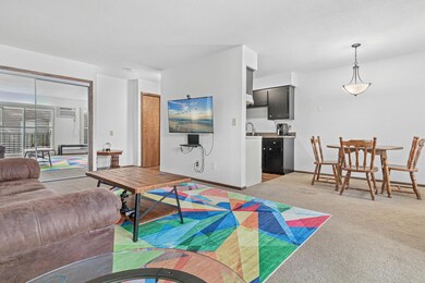 807 11th Ave S unit 6, Hopkins, MN 55343 - photo 6