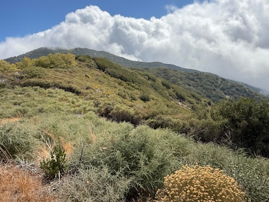 0 Lytle Creek Rd, Lytle Creek, CA 92358 - photo 7