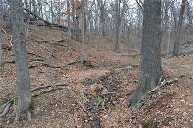 0 W John Garrison Rd unit 1005763, Fayetteville, AR 72704 - photo 6