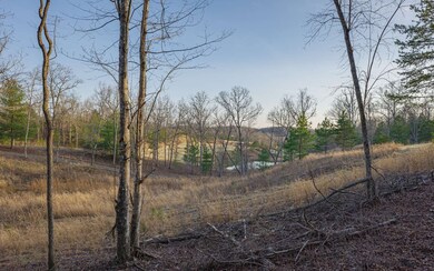 Additional View