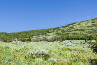 926 S Upland Loop unit 20, Midway, UT 84049 - photo 2