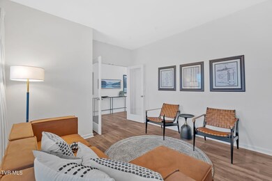 86 Ollie St, Johnson City, TN 37615 - photo 5