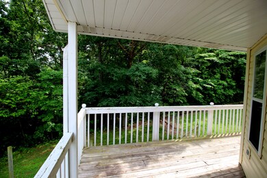 Back Deck