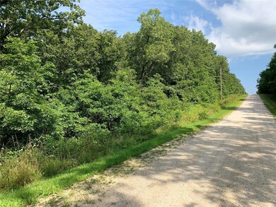 0 County Road 7160, Rolla, MO 65401 - photo 3