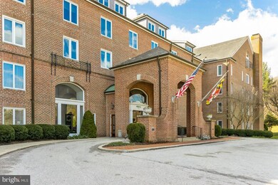 2331 Old Court Rd unit 413, Pikesville, MD 21208 - photo 4