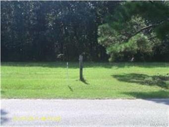 Front of lot