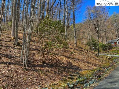 TBD Grandfather Farms Rd, Banner Elk, NC 28604 - photo 5