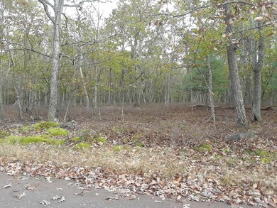 145 & 146 Mountain Top Rd, Lackawaxen Township, PA 18435 - photo 2