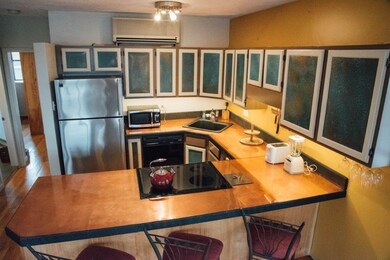 764 Tremont St unit 5, Boston, MA 02118 - photo 4