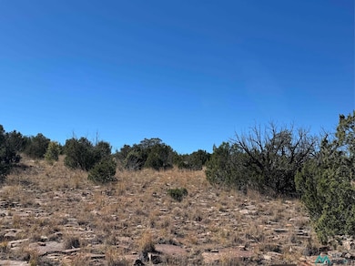 158.81 ac Off Cr B27a Rd, Bernal, NM 87569 - photo 3