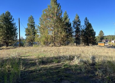 1909 Gold Dust Rd unit 60, Cascade, ID 83611 - photo 5