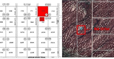 14047 Barstow Rd, Santa Margarita, CA 93453 - photo 5