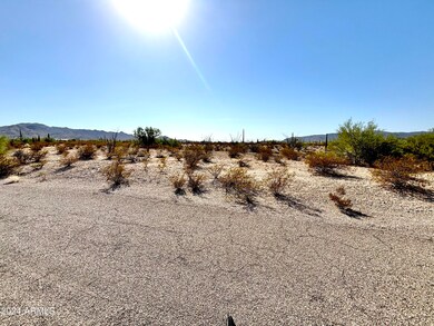 0 N Elliott Rd unit NULL, Ajo, AZ 85321 - photo 2