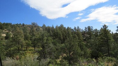 IMG_7187-1024x576