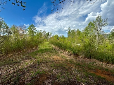 Tbd Edith Gouge Rd unit LotWP001, Unicoi, TN 37692 - photo 4