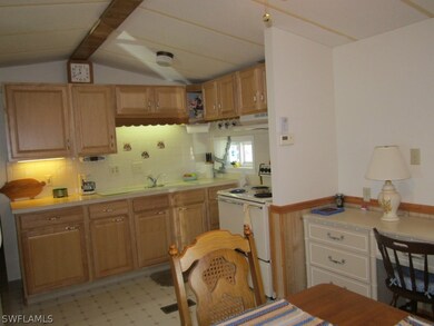 11601 Dwarf Ginseng Dr unit 298, Fort Myers, FL 33908 - photo 7