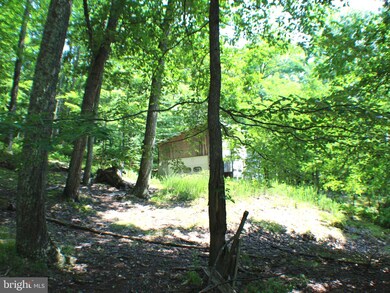 15.44 Acres High Knob Rd, Old Fields, WV 26845 - photo 7