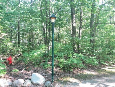 Preserve Lot 8