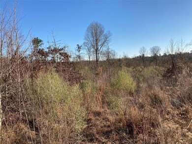 View of local wilderness