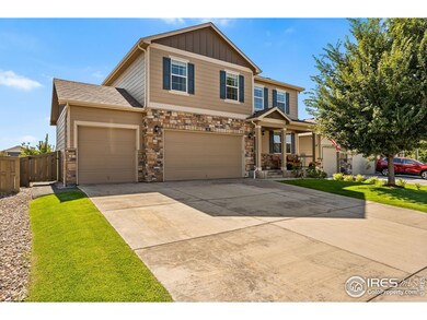 503 Buckrake St, Severance, CO 80550 - photo 4