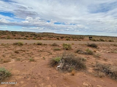 58 Well Field Rd, Winslow, AZ 86047 - photo 7