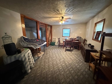 16 Five Spot Ln, Drybranch, WV 25061 - photo 7