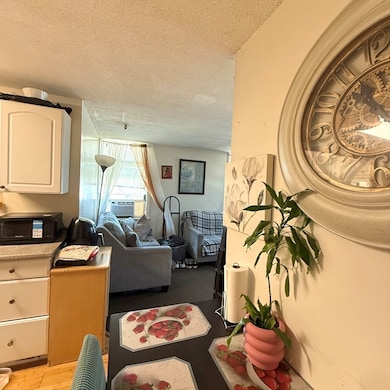 46 Amesbury St unit 4D, Lawrence, MA 01840 - photo 4