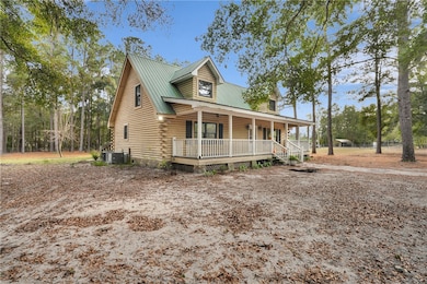 262 Tara St, Ludowici, GA 31316 - photo 4