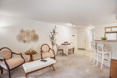 Living / Dining