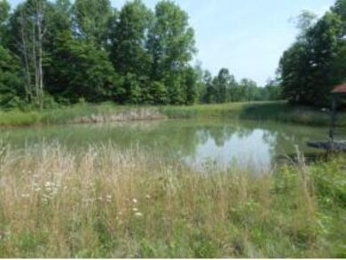 Pond