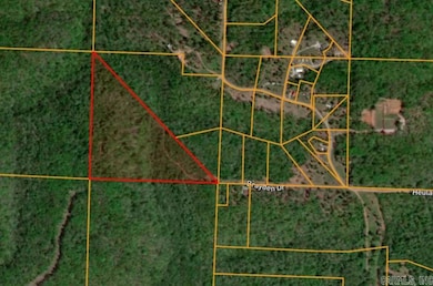 000 Heulan Way, Mountain View, AR 72560 - photo 7