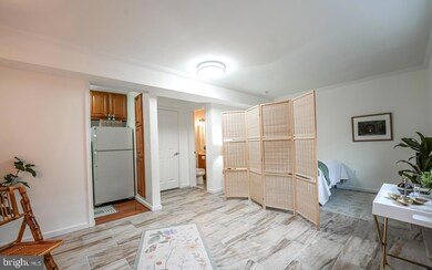 3334 Spring Ln unit A-01, Falls Church, VA 22041 - photo 4