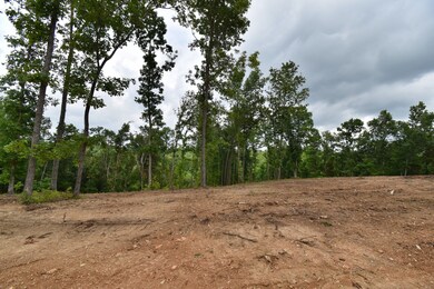 0 Highway 128 unit RTC2539766, Linden, TN 37096 - photo 4