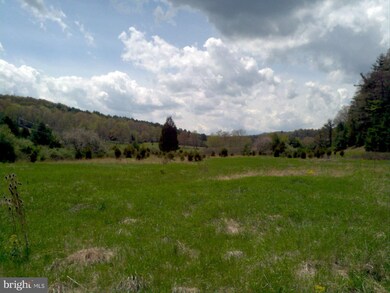 0 Native Trout Ln unit 1003504916, Moyers, WV 26815 - photo 2