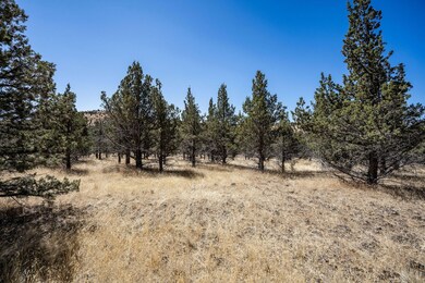 2024_08_28_12330_juniper_canyon_rd_pv_lo