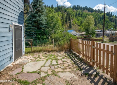 126 Monument St, Red Cliff, CO 81649 - photo 3