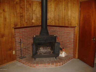 Wood burning stove fireplace