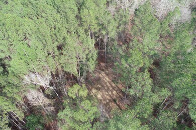 DJI_0642