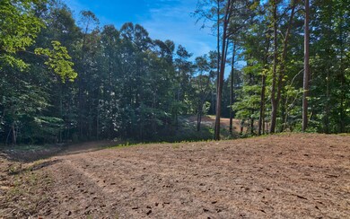 857 Mount Zion Rd, Ellijay, GA 30536 - photo 7