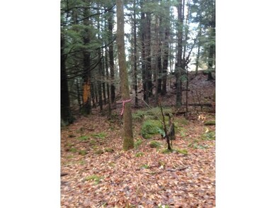 Brook at Property Line