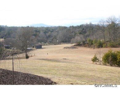 1180 Bear Creek Rd, Leicester, NC 28748 - photo 7