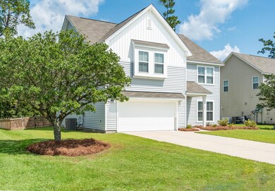 Cypress Plantation-13